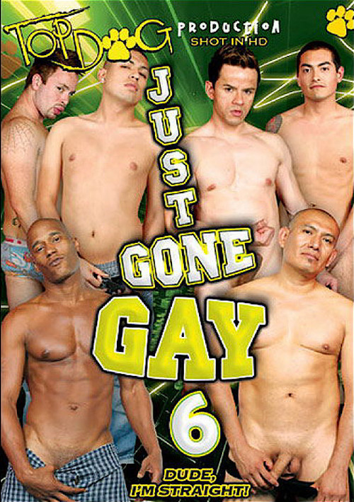 Movie poster for Just Gone Gay 6 (2009)