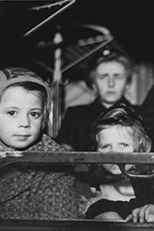 Movie poster for Report on the Refugee Situation (1949)