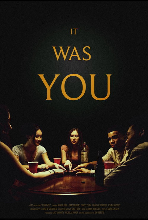 Movie poster for It Was You