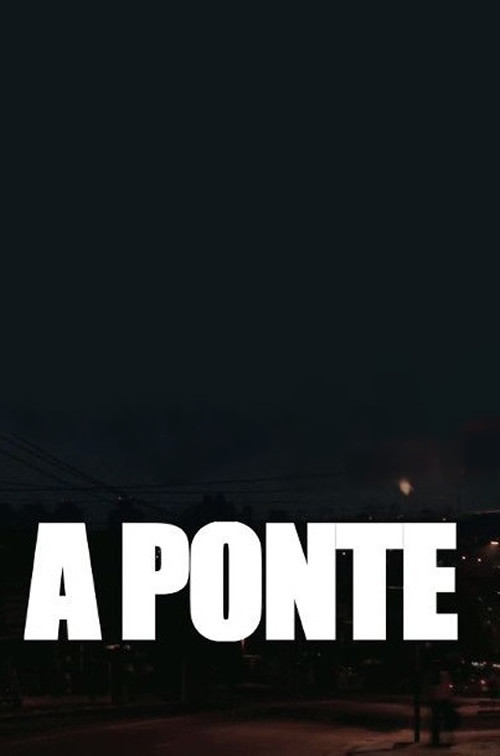 Movie poster for The Bridge (2011)