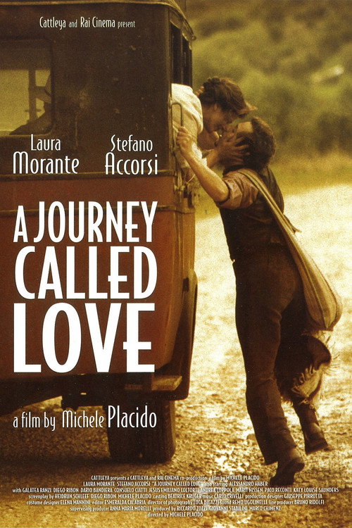 Movie poster for A Journey Called Love (2002)