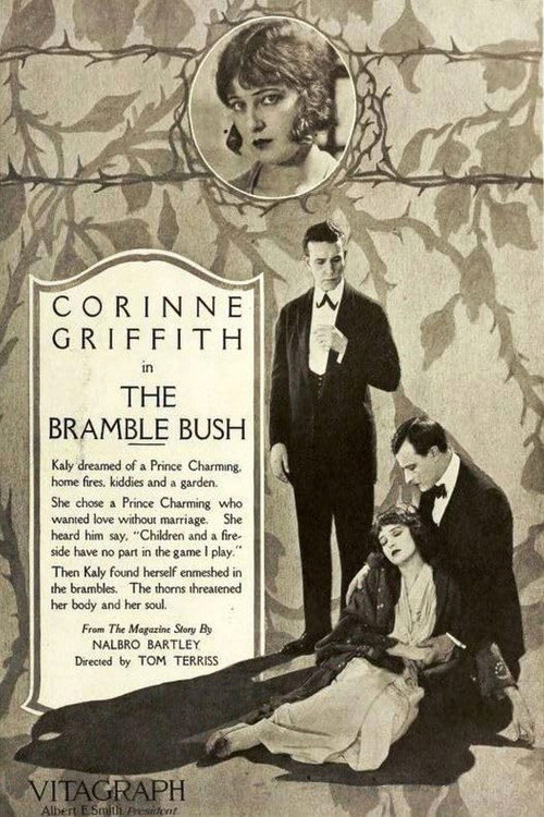 Movie poster for The Bramble Bush (1919)