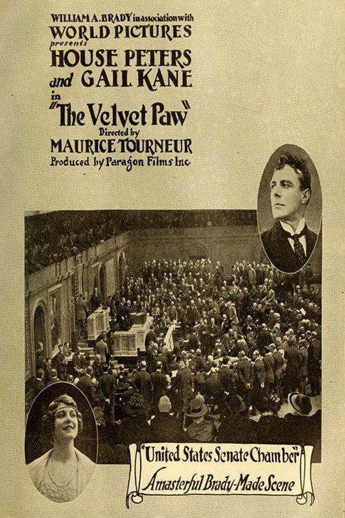 Movie poster for The Velvet Paw (1916)