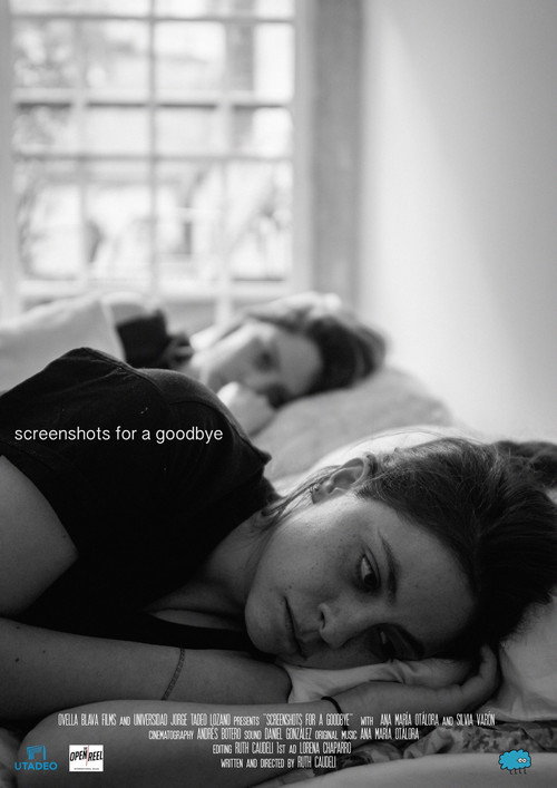 Movie poster for Screenshots for a Goodbye (2020)