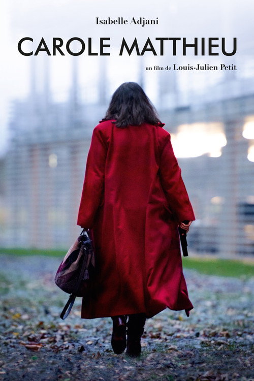 Movie poster for Carole Matthieu (2016)