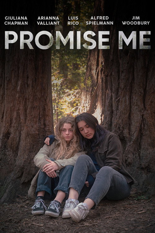 Movie poster for Promise Me (2023)