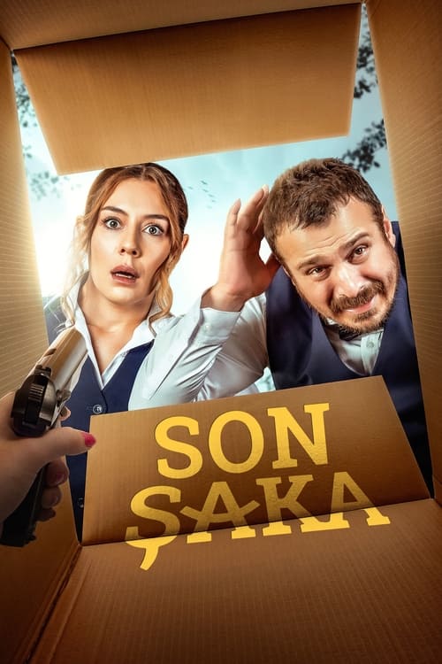 Movie poster for The Last Joke (2020)
