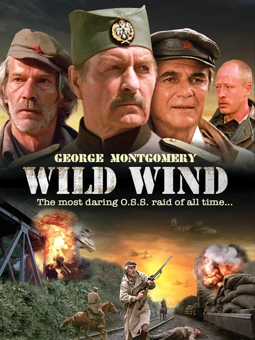 Movie poster for Wild Wind (1985)