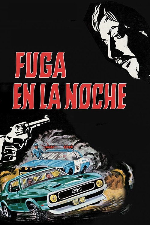 Movie poster for Fuga en la noche (1973)