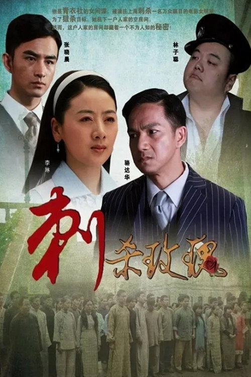 Movie poster for 刺杀玫瑰 (2011)