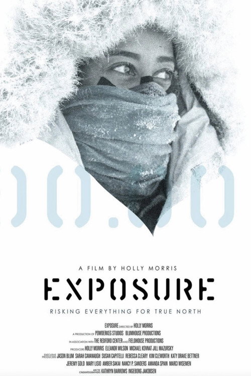 Movie poster for Exposure (2021)