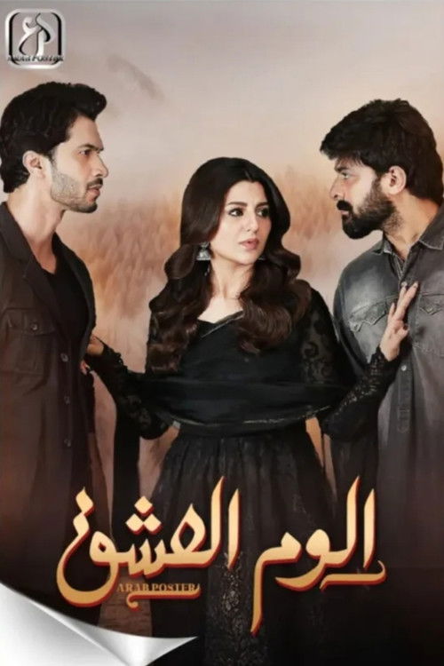 ilzam-e-ishq poster