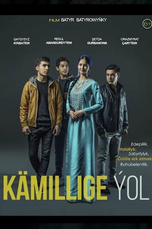 Movie poster for The Path to Perfection (2019)