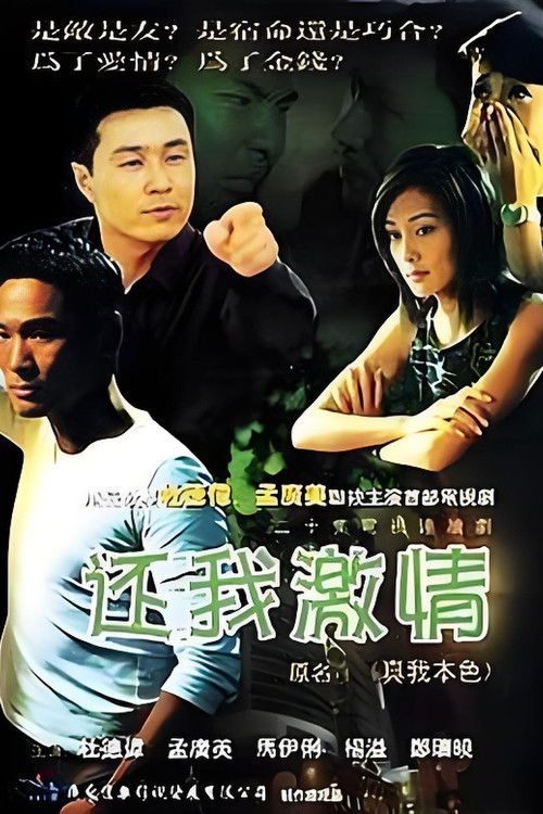 还我激情 poster