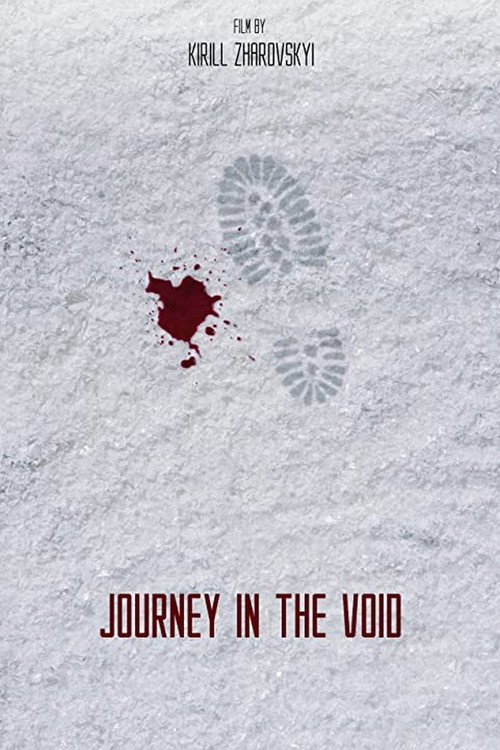 Movie poster for Journey in the Void (2021)