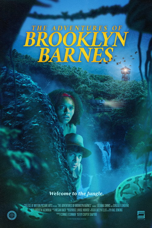 Movie poster for The Adventures of Brooklyn Barnes (2022)