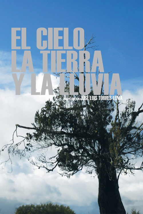 Movie poster for The Sky, the Earth and the Rain (2008)