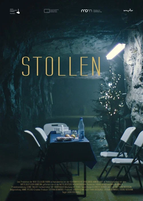 Movie poster for Stollen (2021)