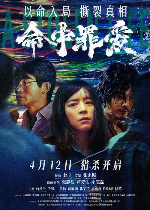 Movie poster for A Stolen Life (2025)