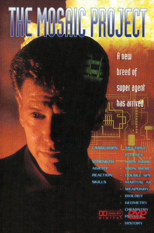 Movie poster for The Mosaic Project (1994)