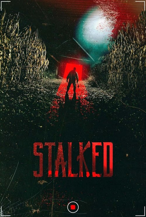 Movie poster for Stalked