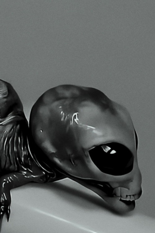 Movie poster for Small talk about the Reptilian (2026)