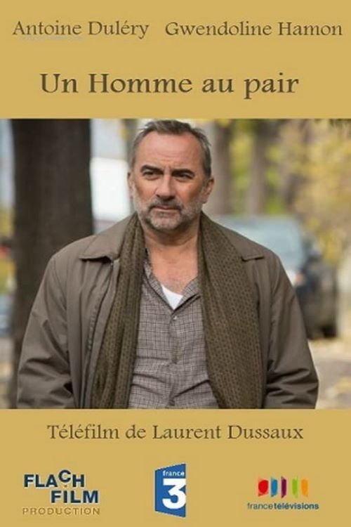 Movie poster for A Man Au Pair (2013)