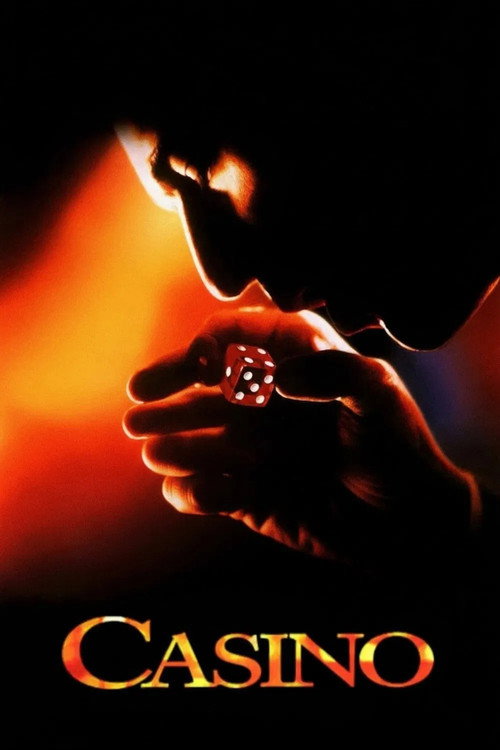 Movie poster for Casino: The Story (2005)