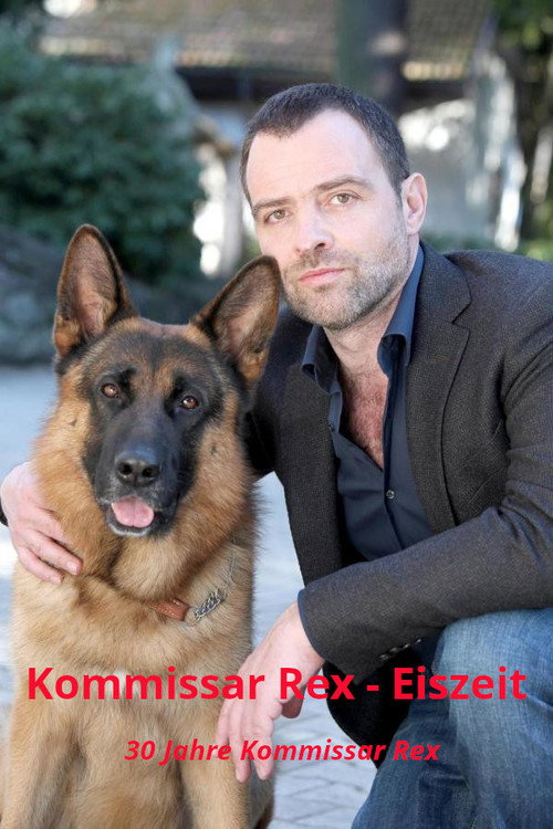 Movie poster for Kommissar Rex - Eiszeit (2013)