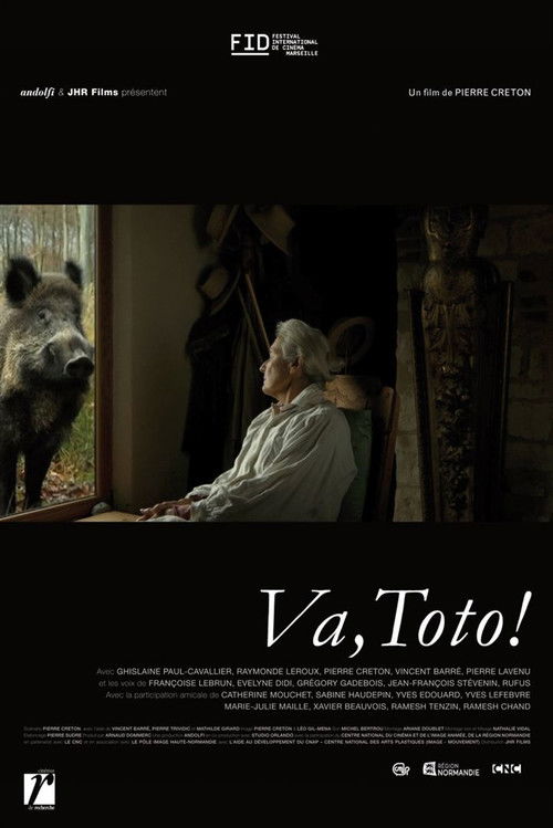 Movie poster for Go, Toto! (2017)