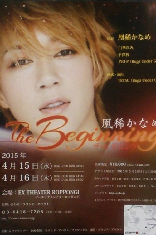 Movie poster for The Beginning (2015)