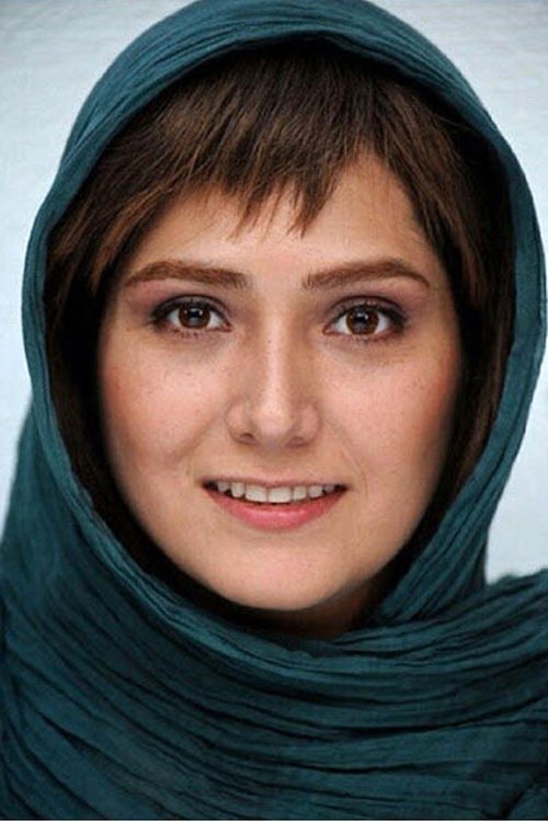 Photo of Baran Kosari, Acting
