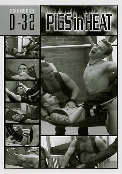 Movie poster for Pigs in Heat (2006)