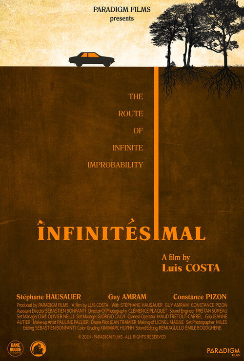 Movie poster for Infinitesimal