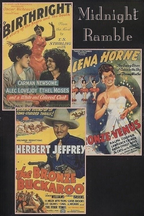 Movie poster for Midnight Ramble (1994)