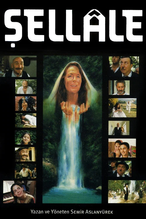Movie poster for The Waterfall (2001)