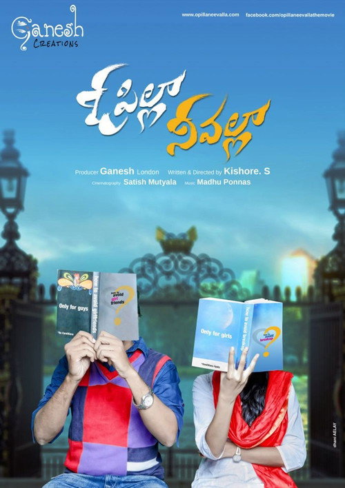 Movie poster for O Pilla Nee Valla (2017)