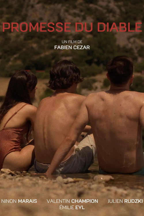 Movie poster for Promesse du Diable (2024)