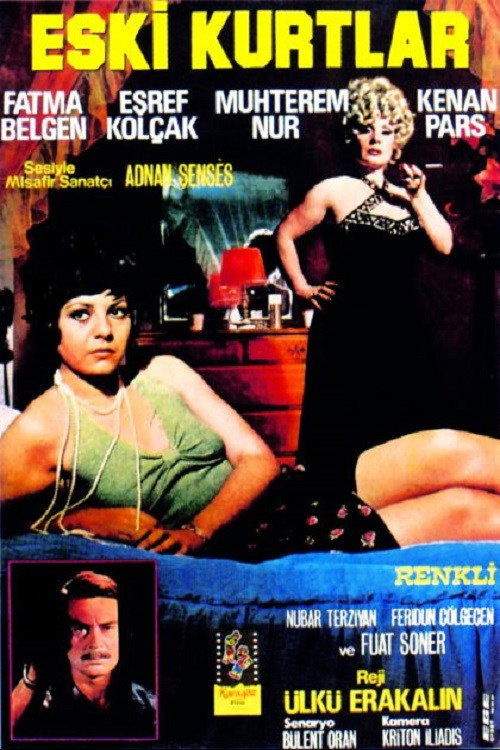 Movie poster for Eski Kurtlar (1974)