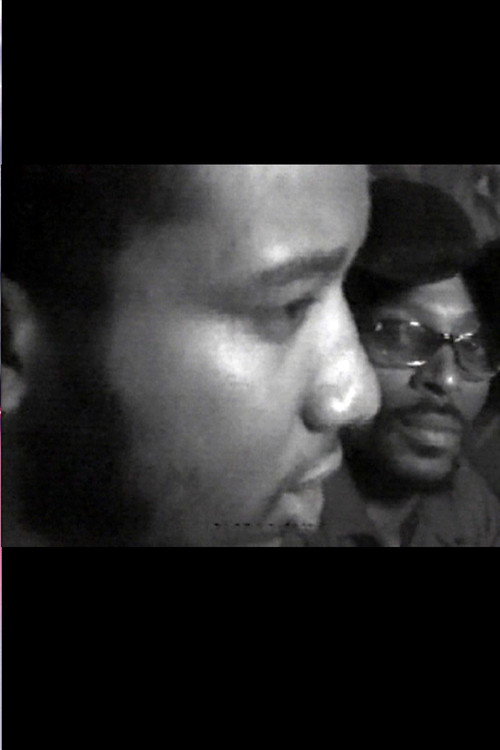Movie poster for Fred Hampton: Black Panthers in Chicago (1969)