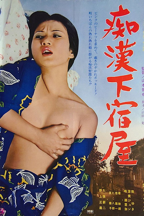Movie poster for Chikan geshuku ya (1976)