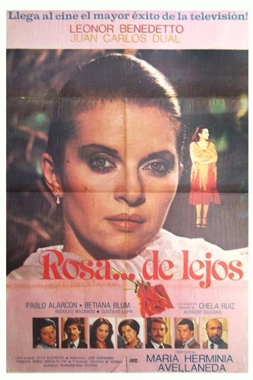 Movie poster for Rosa de lejos (1980)