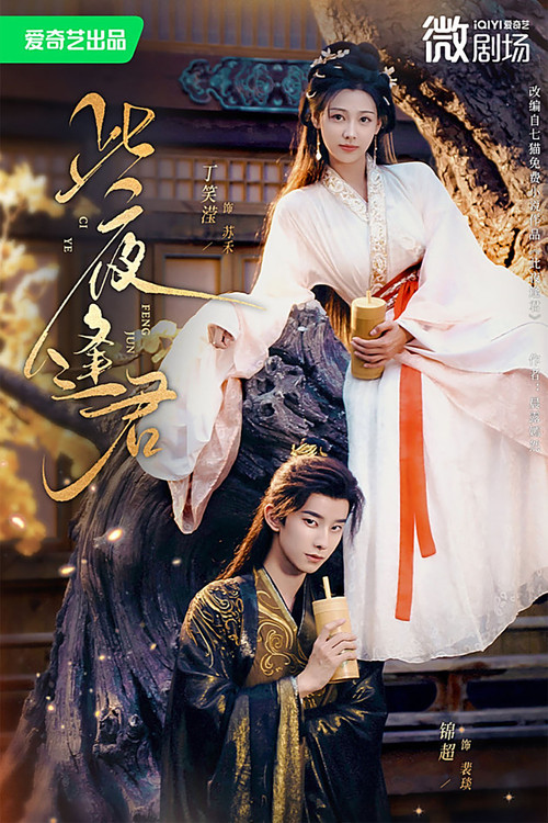 Series poster for 此夜逢君 (2025)