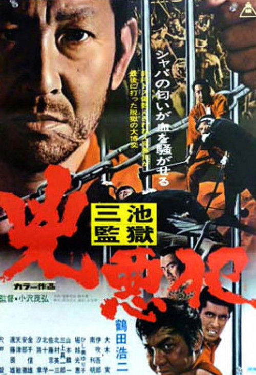 Movie poster for The Hard Core Criminal (1973)
