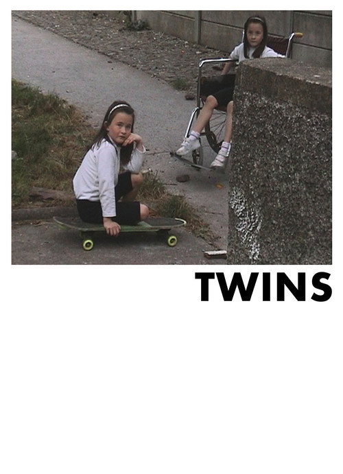 Movie poster for Twins (2002)