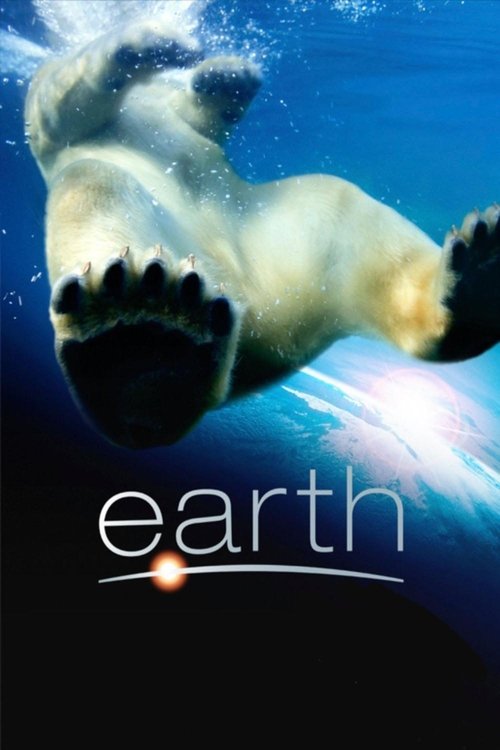 Movie poster for Earth (2007)
