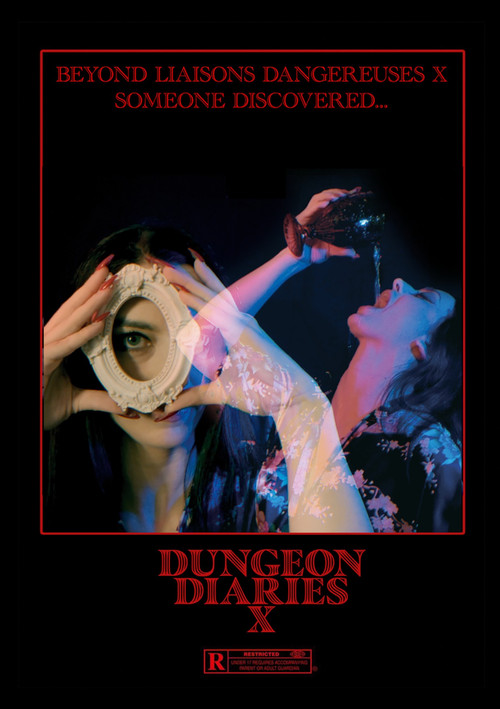Movie poster for Dungeon Diaries X (2025)