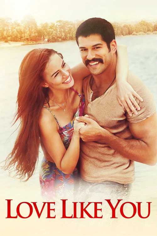 Movie poster for Love Like You (2015)