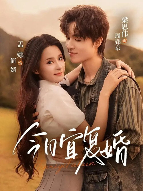 今日宜复婚 poster