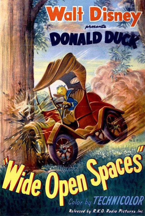 Movie poster for Wide Open Spaces (1947)